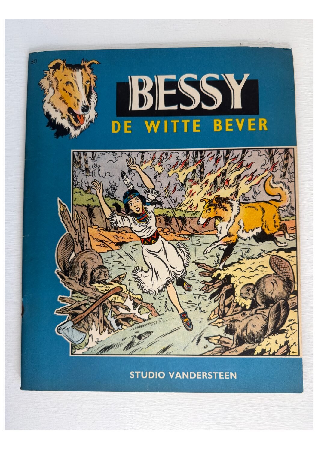 Bessy | De witte bever